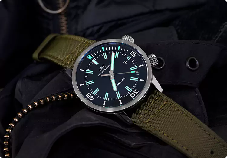 Professional Watch Appraisal in Detroit, MI